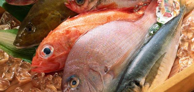 10 Tips for Enjoying Winter Seafood